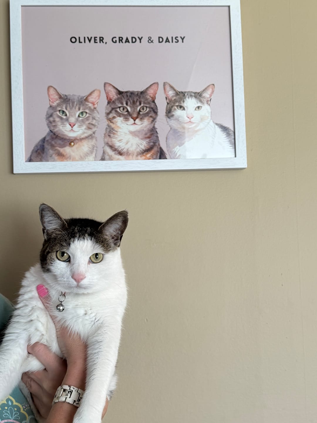 Customer photo review of Custom Three Pet Portrait