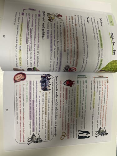 Recenzie cu fotografie de la un client despre Carte Română Bacalaureat Bacademia (temă și viziune, caracterizare, relație) - Ediția II