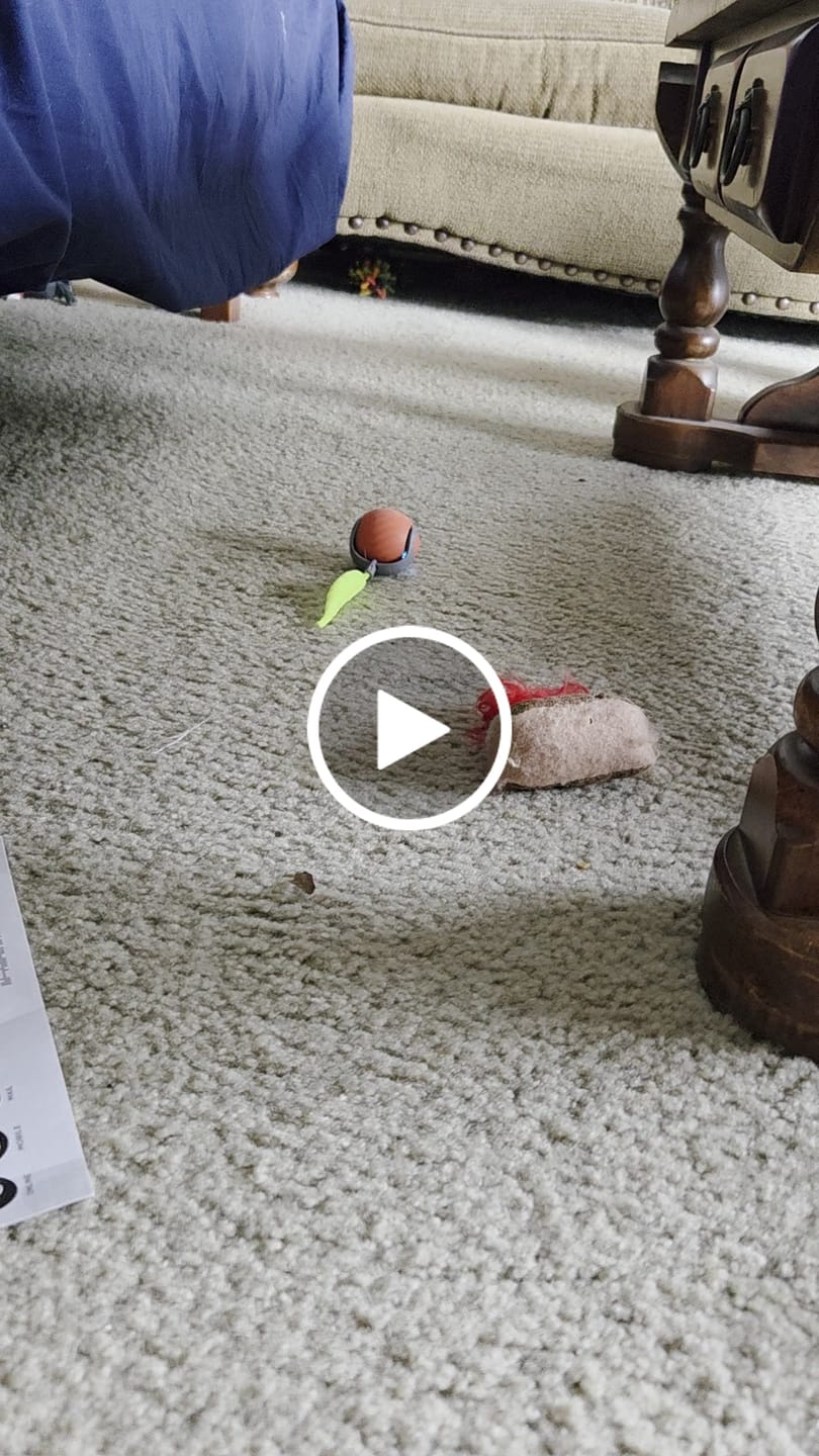 Customer video review of SPEEDY TAIL 2.0