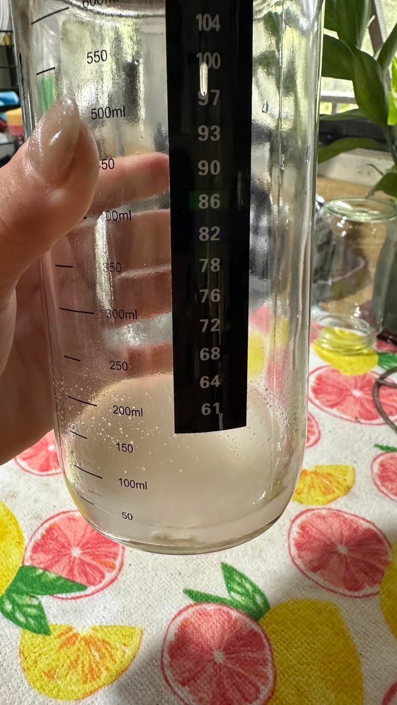 Customer photo review of Living Jin Foods: Sourdough Starter