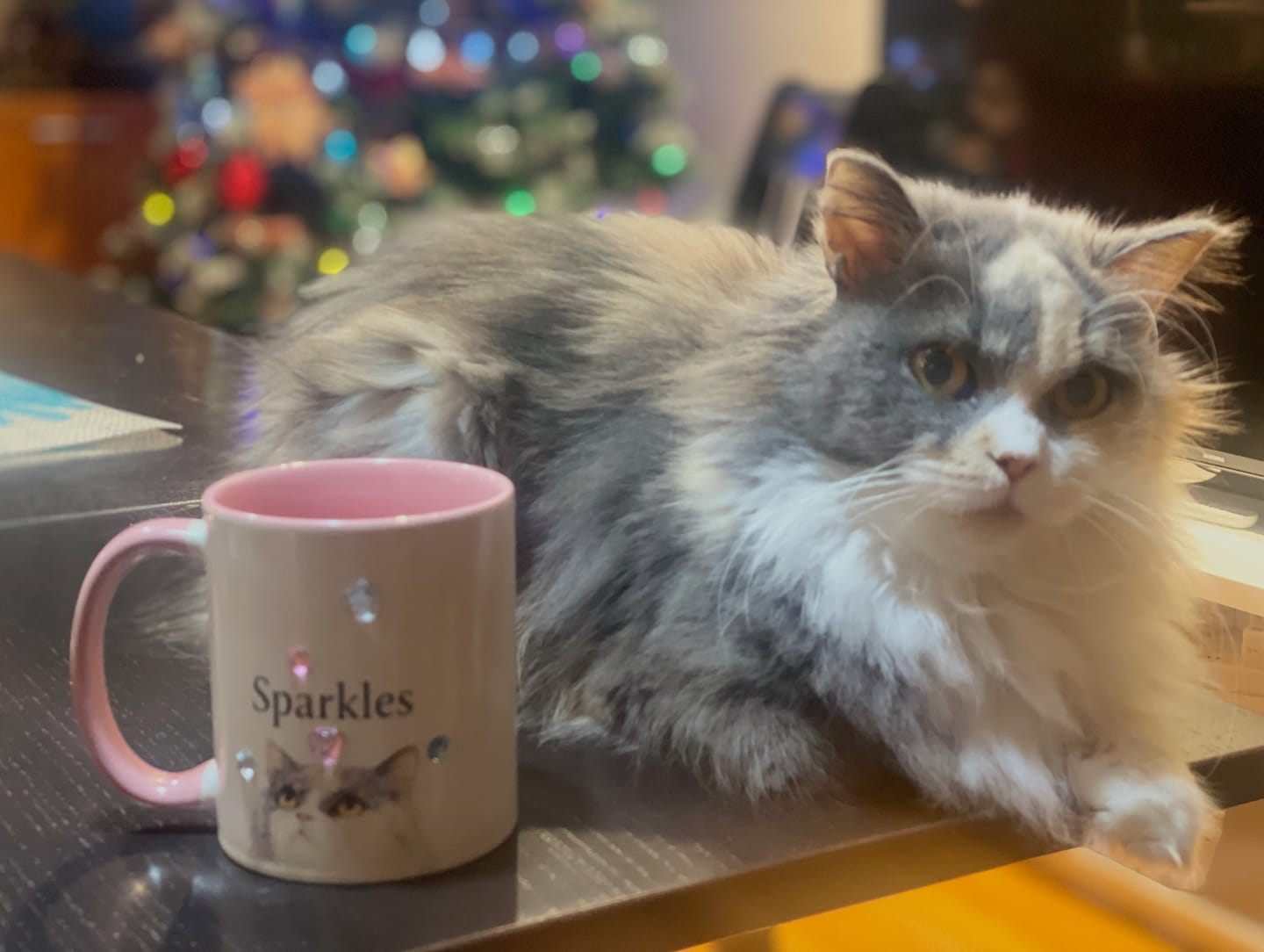 Customer photo review of Custom Peeking Pet Colorful Mug