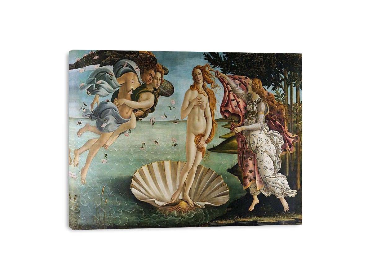 Customer photo review of Birth of Venus  I Botticelli Venus Painting by Sandro Botticelli (Alessandro Filipepi)