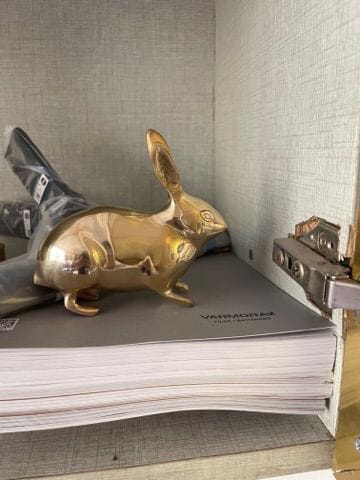 Customer photo review of Golden Rabbit Brass Idol – Auspicious Vastu Remedy for Wealth Attraction & Prosperity | Ideal for North Direction, Office Desk & Home Entrance | 13 x 4.5 x 11.5 cm | 670 g