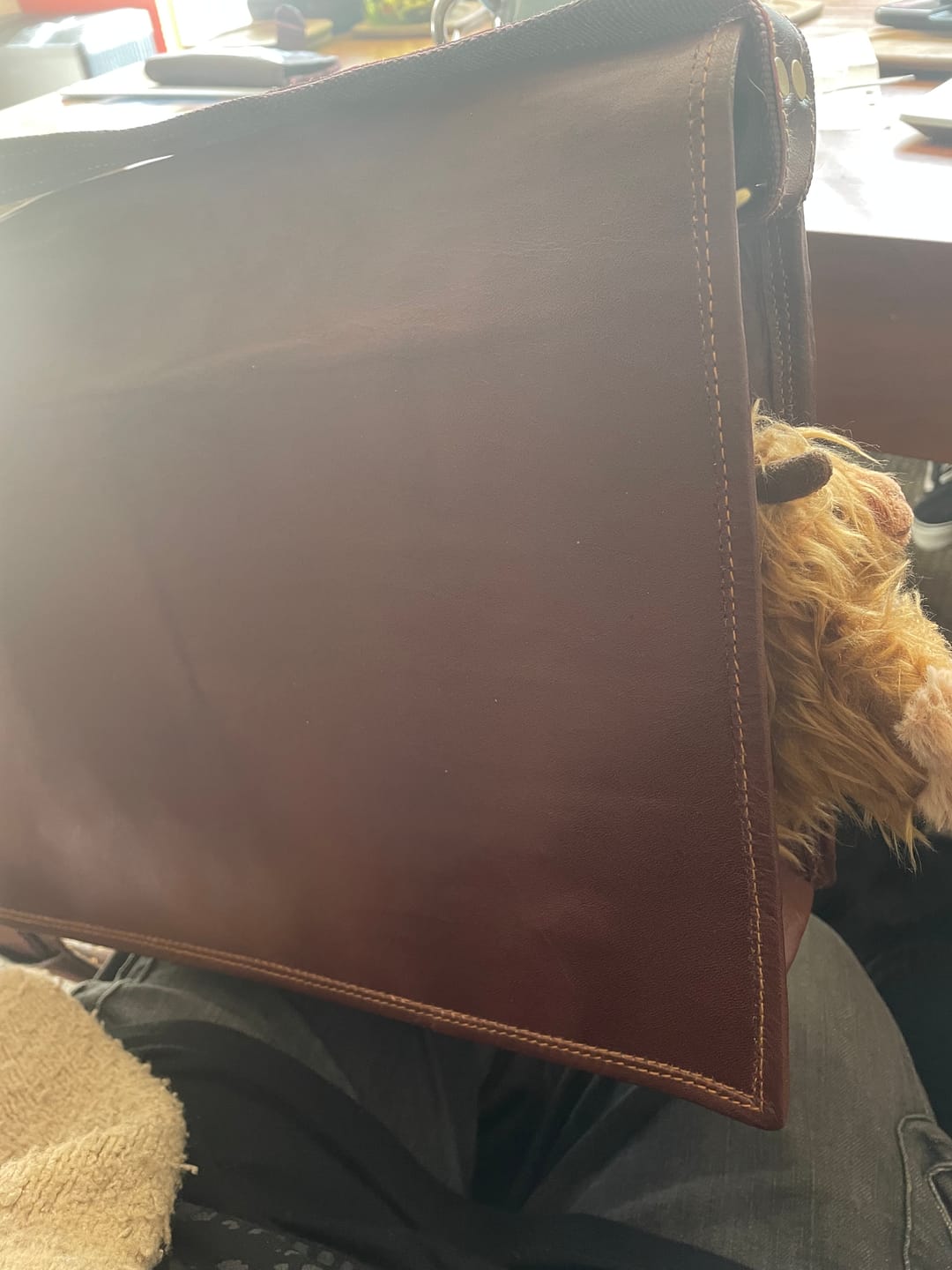 Customer photo review of The Prime Satchel