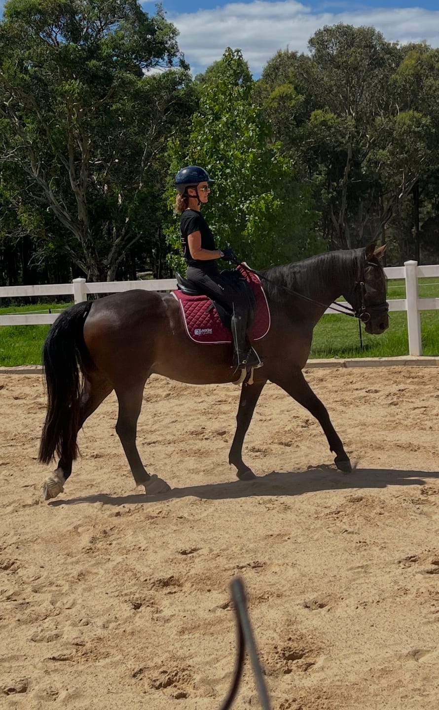 Customer photo review of LE Performance Dressage Saddle Pad with Shims