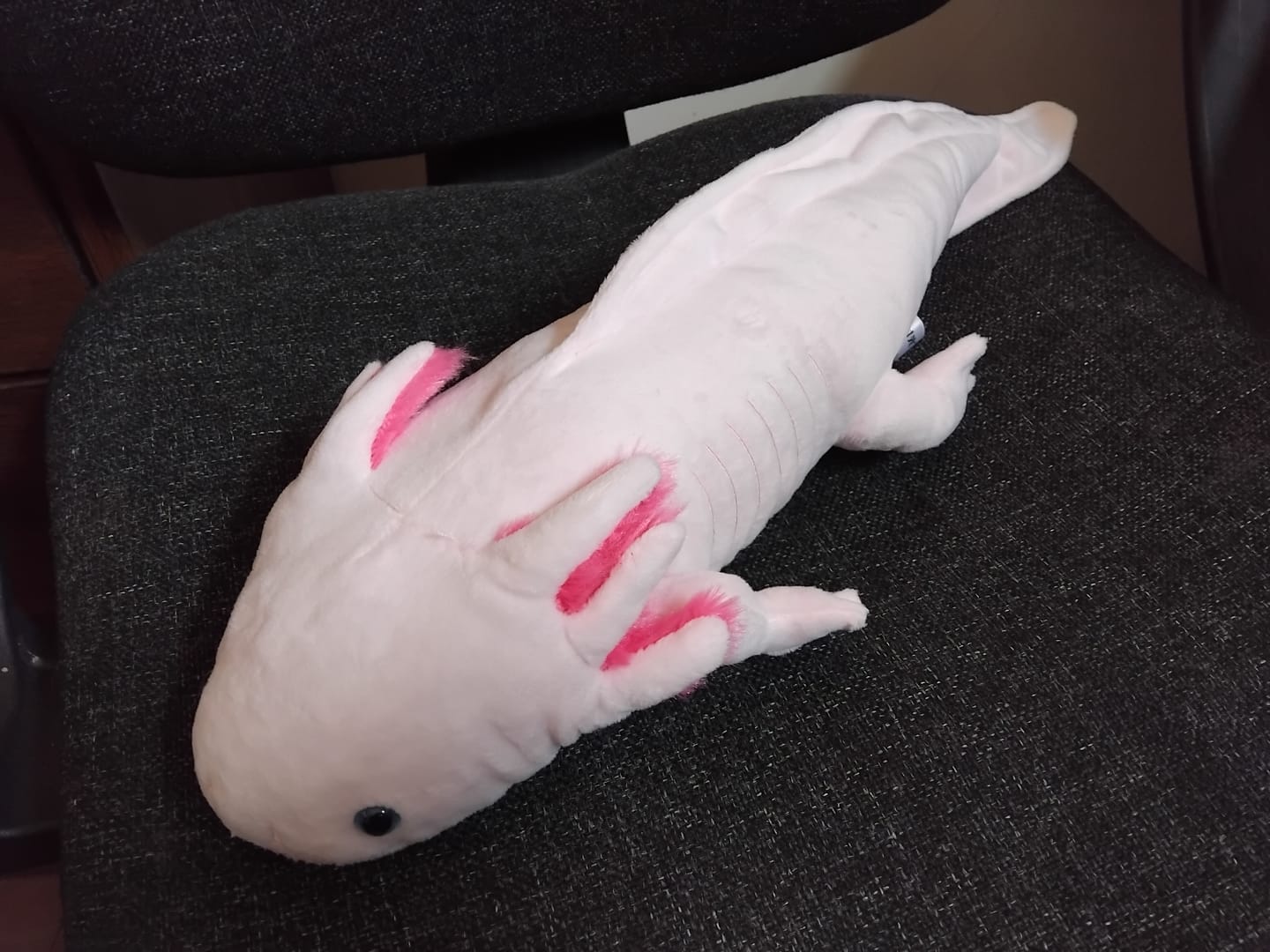 Customer photo review of Pink Axolotl Soft Stuffed Plush Toy