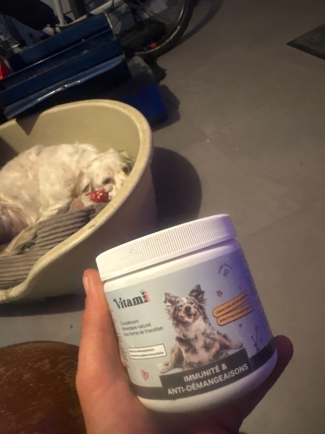 Customer photo review of Friandises Naturelles Immunité et Anti-Démangeaisons