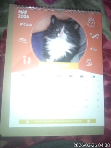 Customer photo review of Official Pupvote Cutest Pets of the Year Calendar (2026)