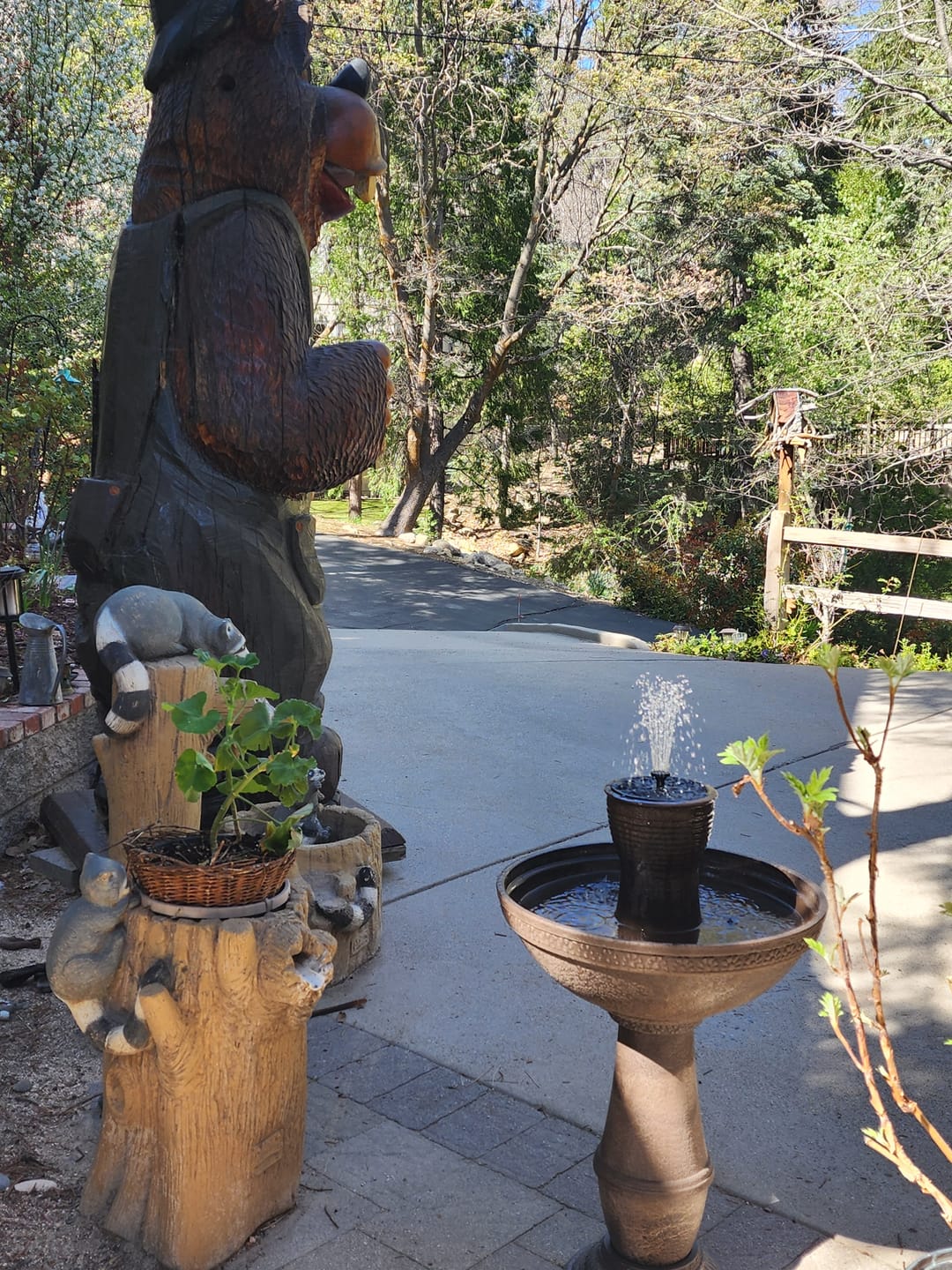 Customer photo review of Adria Cordless 8-in-1 Modular Fountain with Timer