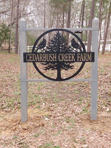 Customer photo review of Custom Sign for Paul