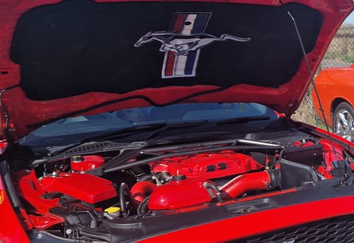 Customer photo review of Mustang (6th Generation) Proform Fuse Box Cover (Plastic Finishes)