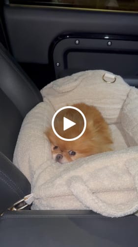 Customer video review of Hazelnut | The Cosy Car Seat