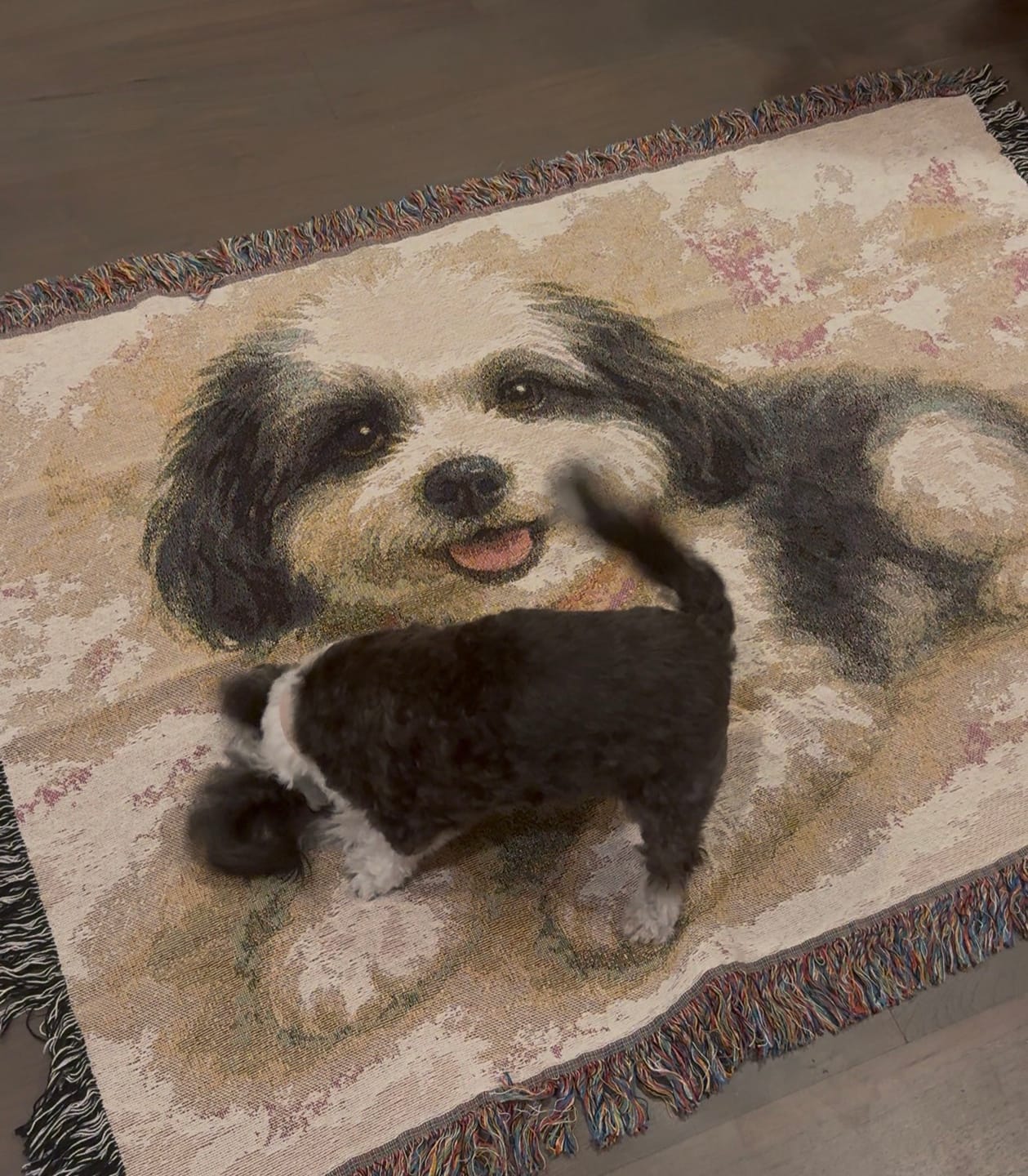 Customer photo review of Custom Relaxed Pet Woven Blanket