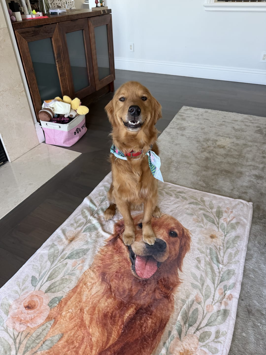 Customer photo review of Cozy Watercolor Custom Pet Portrait