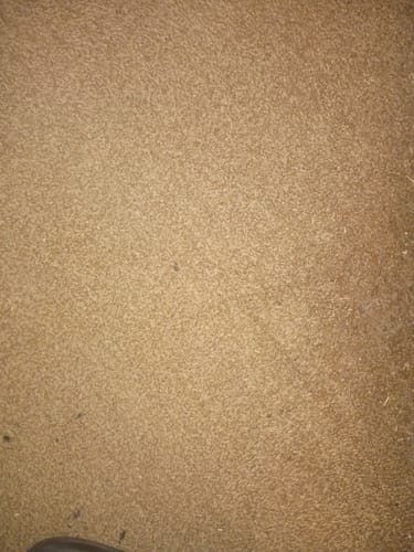 Customer photo review of Zour Stash Berry Blast HashHole