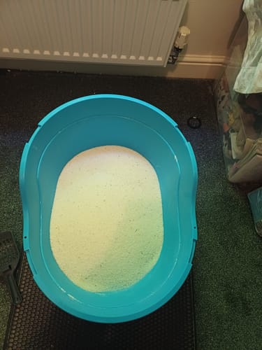 Customer photo review of 1 Month Supply – 1 Cat