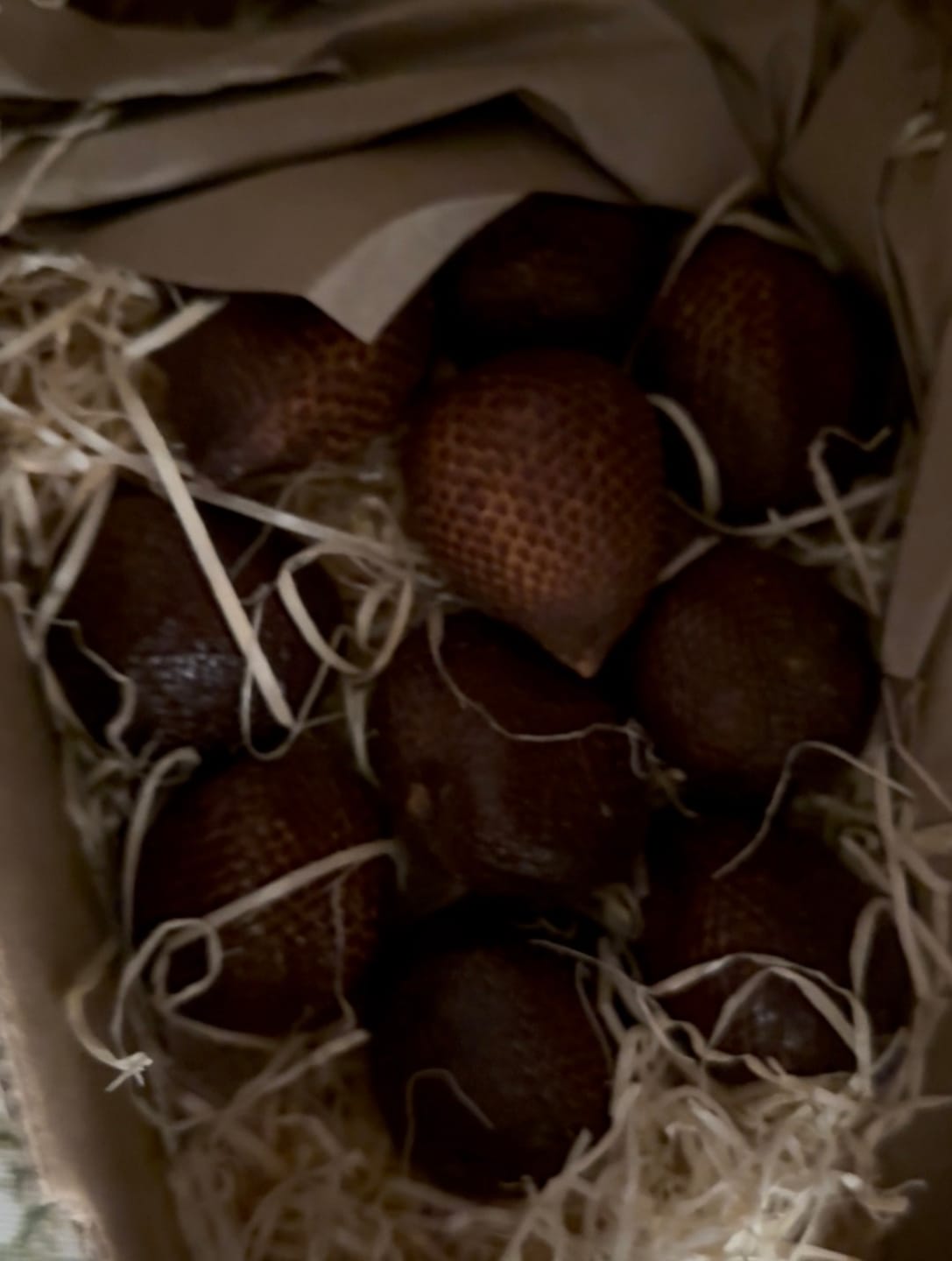 Customer photo review of Salak (Schlangenfrucht) naturbelassen