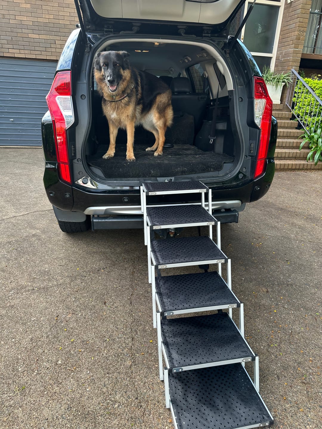 Customer photo review of Foldable Aluminum Pet Steps