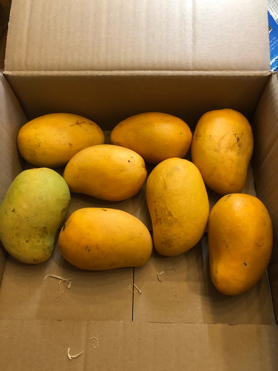 Customer photo review of Mango-Trio Mix-Box 2kg Sonderaktion %