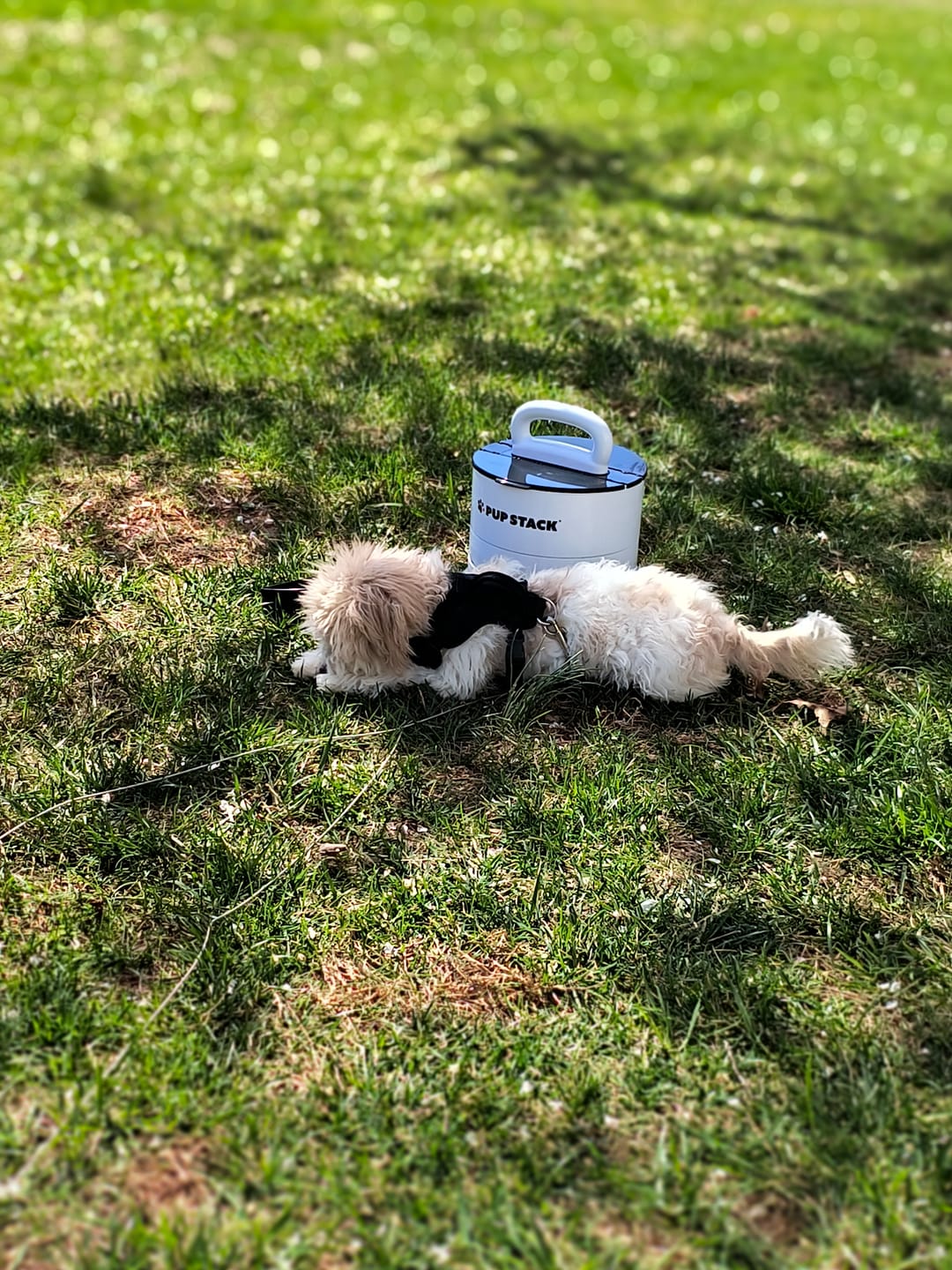 Customer photo review of Pup Stack