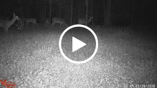 Customer video review of Crank'd™ 3-18-18+ FOOD PLOT LIQUID