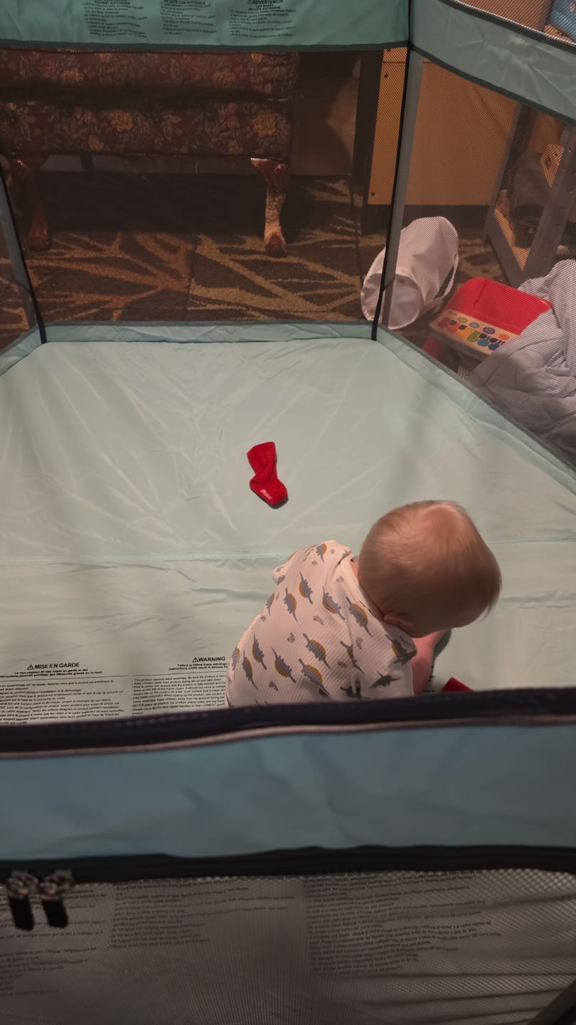 Customer photo review of Pop 'N Go® Playpen