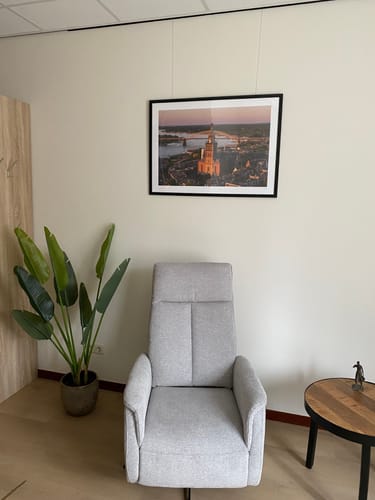 Customer photo review of Strelitzia Kunstplant 120cm