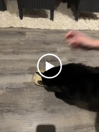 Customer video review of Human-Grade Beef Liver Treats
