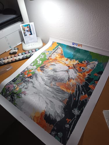 Customer photo review of Blossom Cat