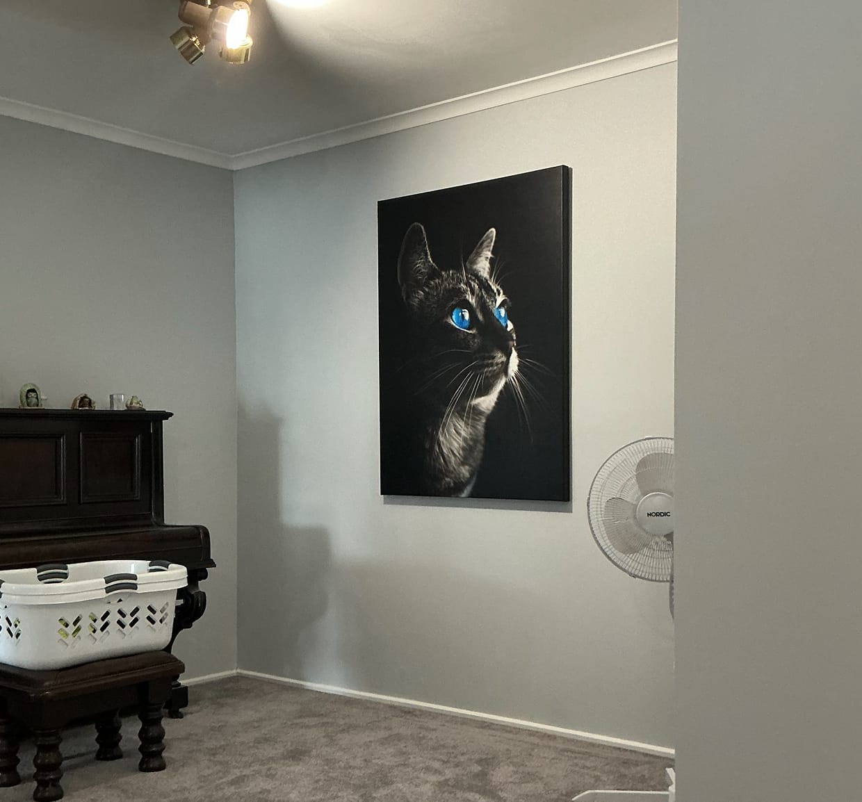 Customer photo review of Cat