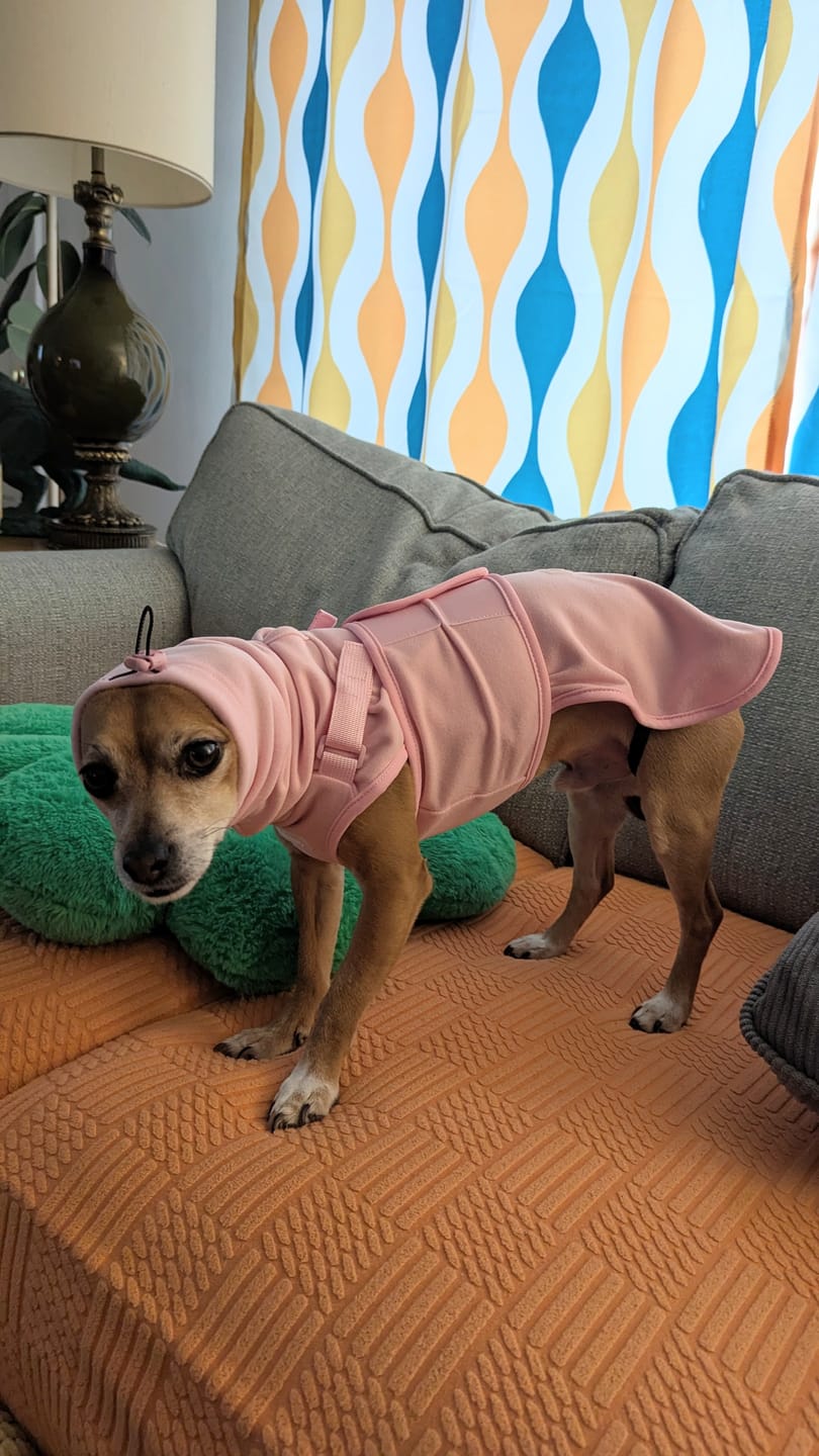 Customer photo review of Anxiety Calming Suit