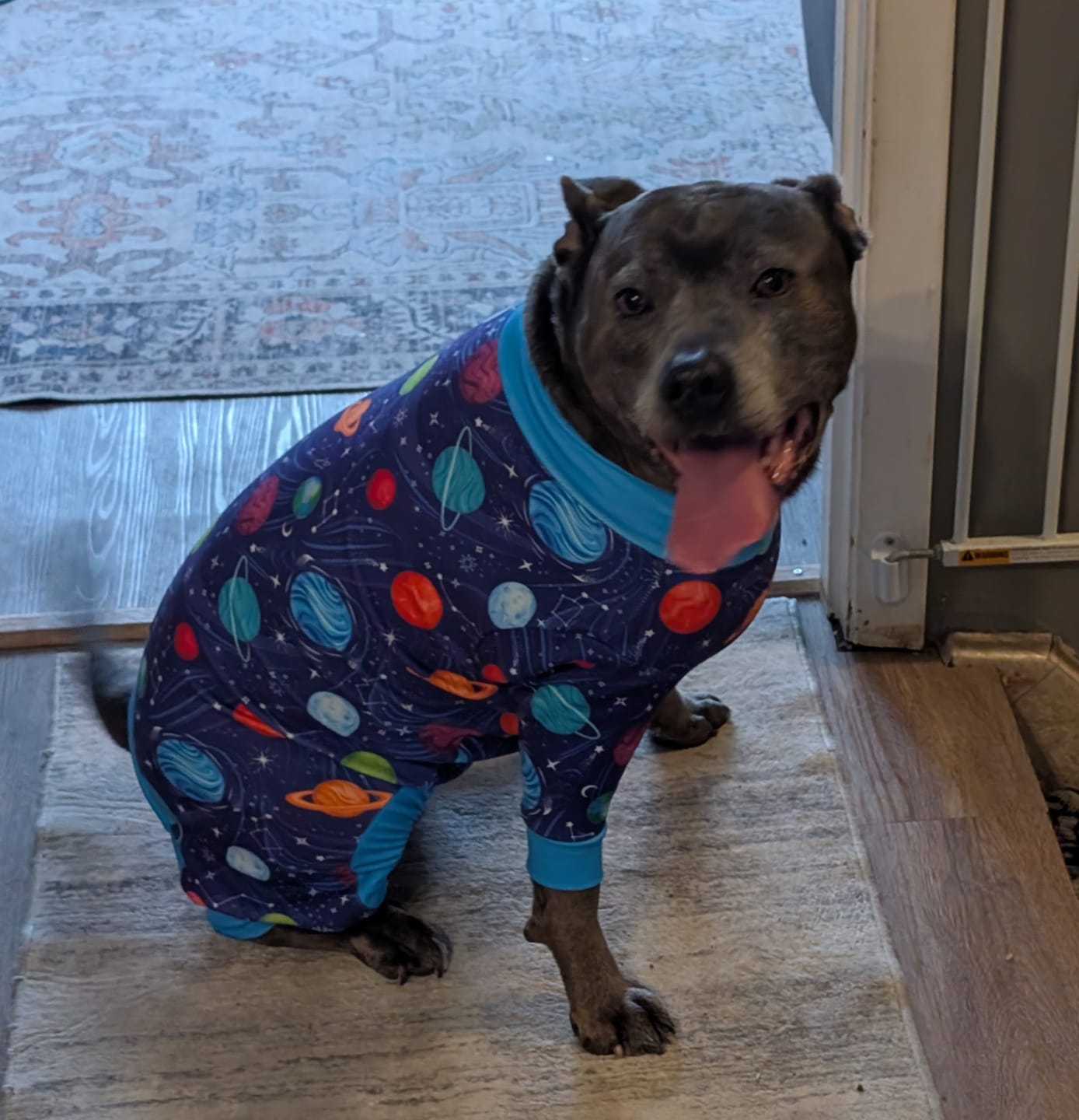 Customer photo review of Dog Pajama - Planets