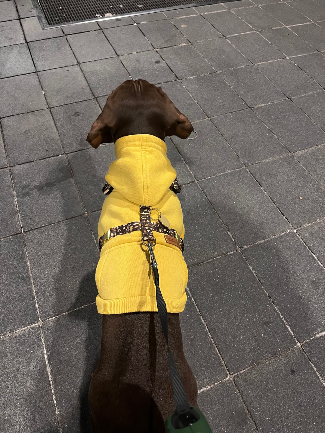 Customer photo review of Szelki bezuciskowe "Brownie Terrazzo" - złote okucia