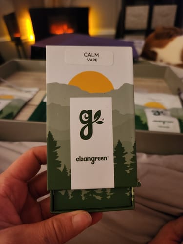 Customer holding the green and white box for the Calm Vape in a cozy room.