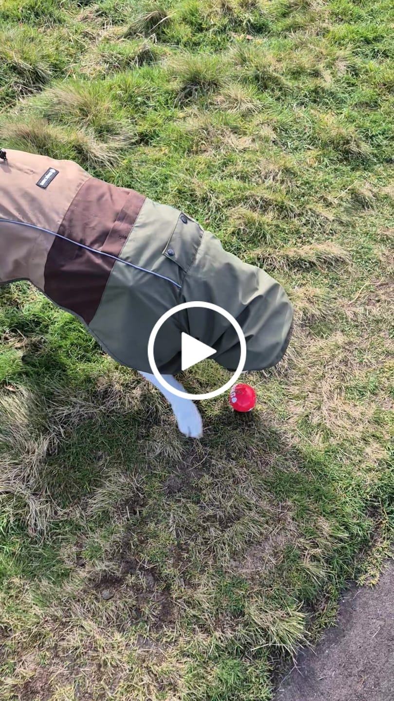 Customer video review of WarmShield Water-Resistant Jackets