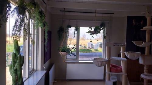 Customer photo review of Galium Kunst Hangplant 75cm