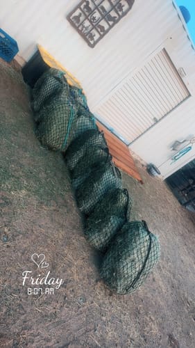 Customer photo review of Hay Chix® Half Bale Net