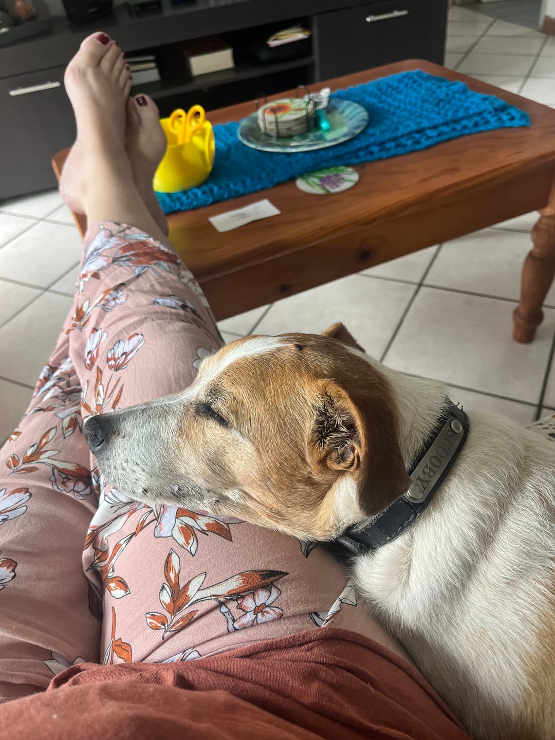 Customer photo review of FlexCare (Joint & Movement Support For Dogs)