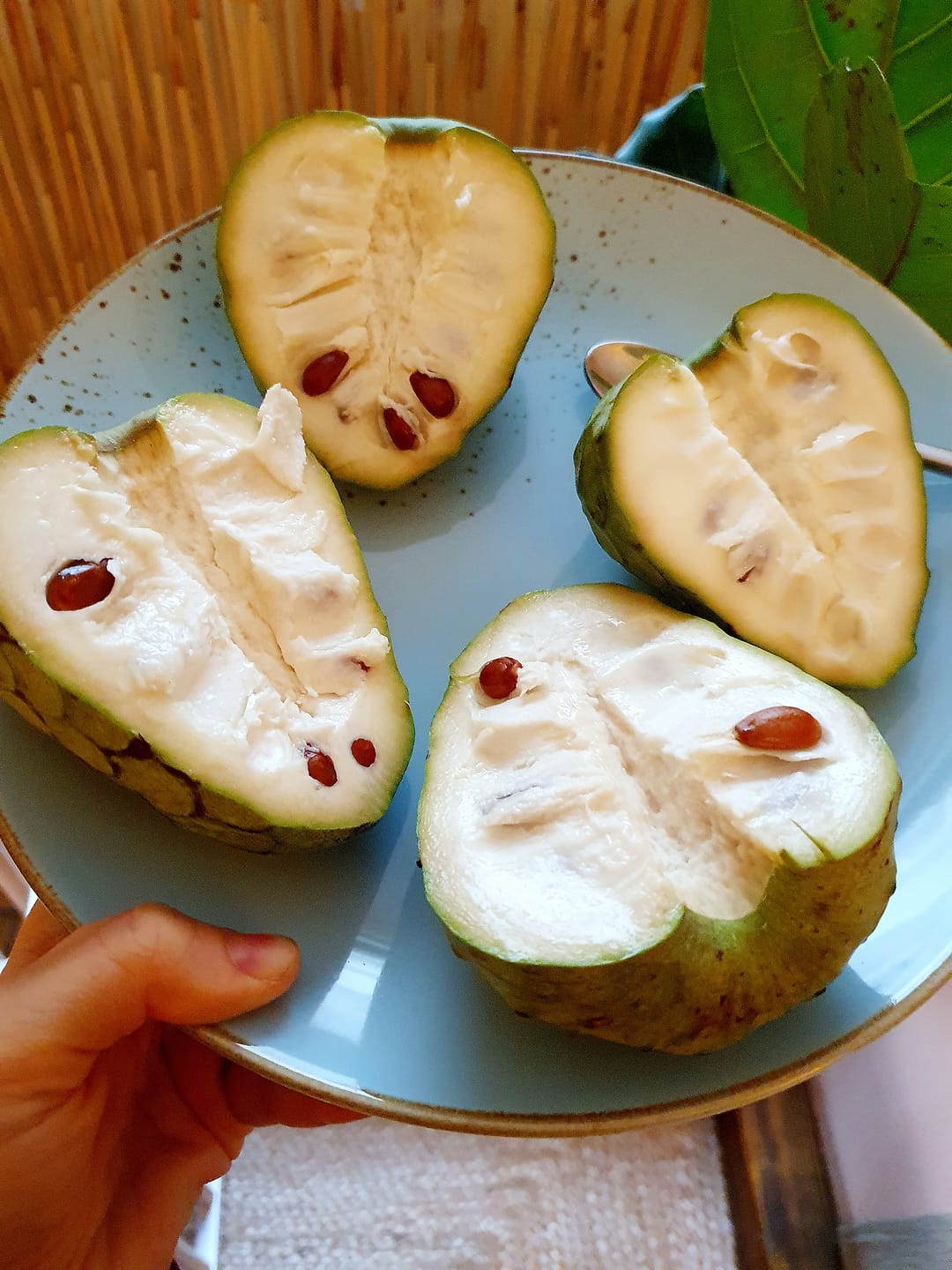 Customer photo review of Cherimoya Bio Hochernte-Retterbox Sonderaktion % 4kg