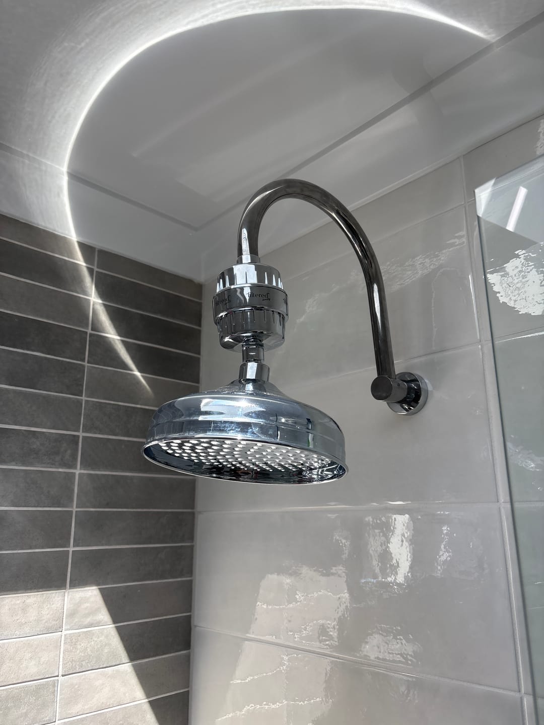 Customer photo review of Shower Purifier - Silver