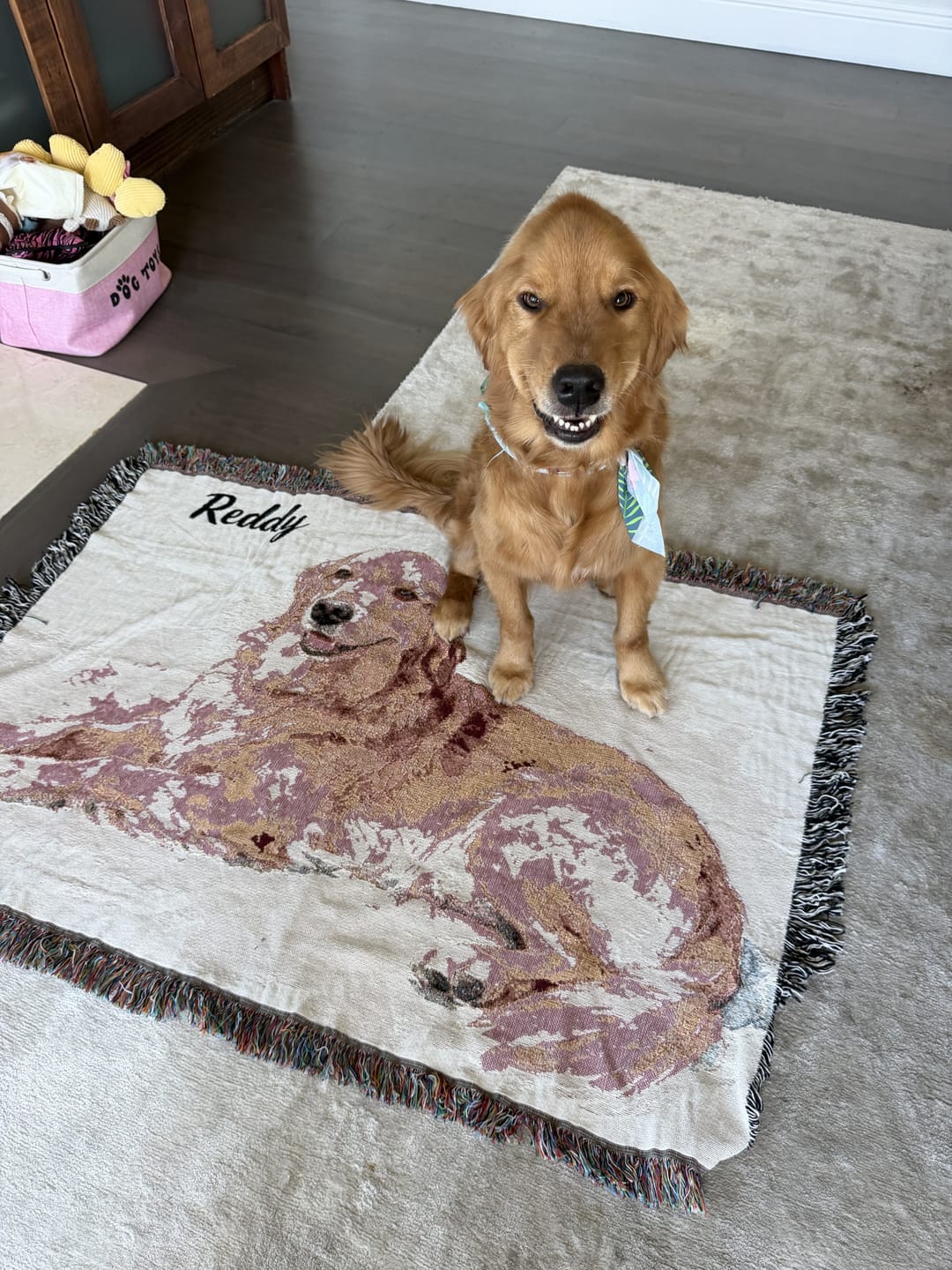 Customer photo review of Custom Relaxed Pet Woven Blanket