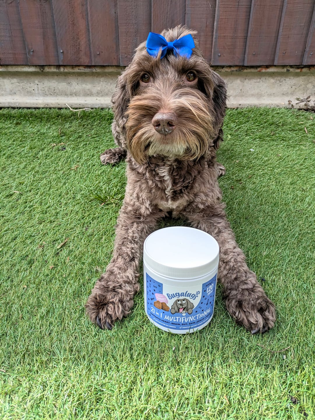 Customer photo review of 21 in 1 Multifunctional Supplement Chews for Dogs