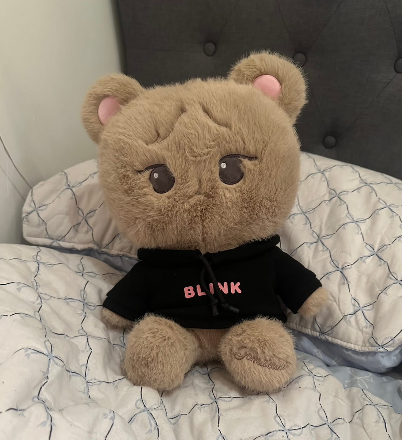 Customer photo review of BLACKPINK [DEADLINE Pop Up] Character Plush Doll