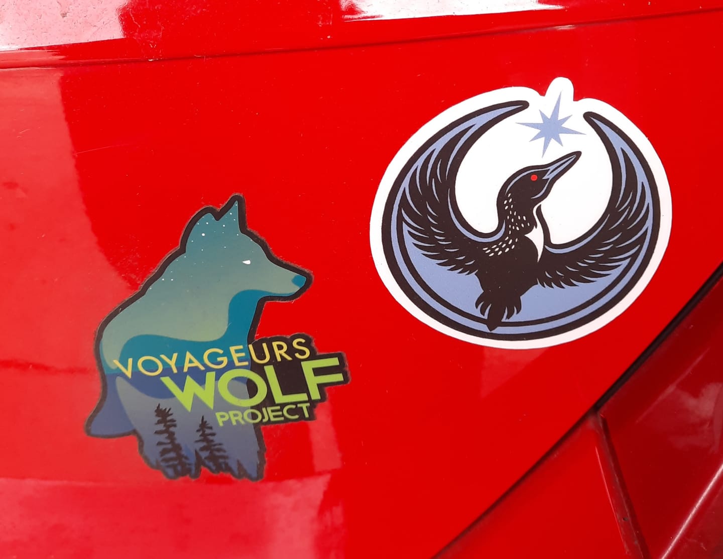 Customer photo review of Rebel Loon Sticker