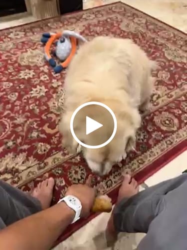 Customer video review of Smoked Beef Marrow Bone