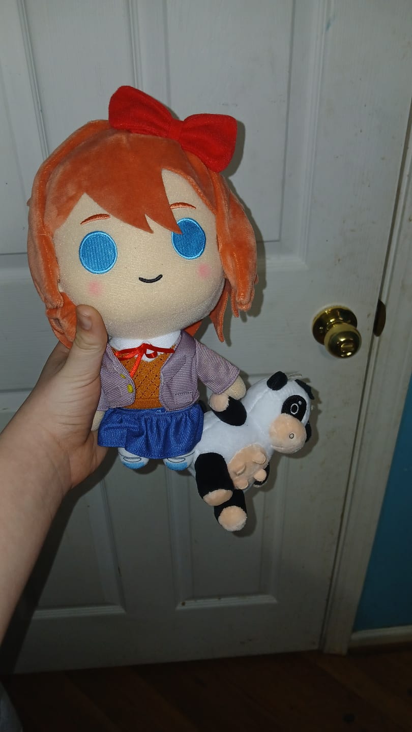 Customer photo review of Doki Doki Literature Club - Sayori Collector's Plush