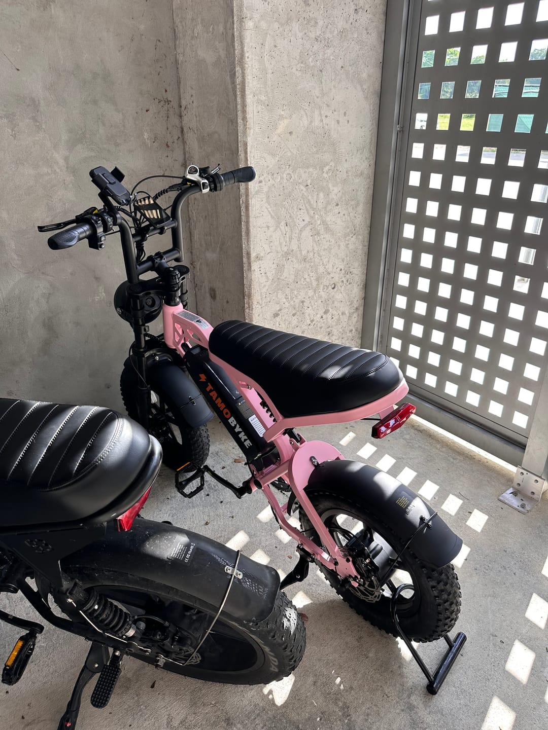 Customer photo review of Tamobyke T16 Commuter Electric Bike