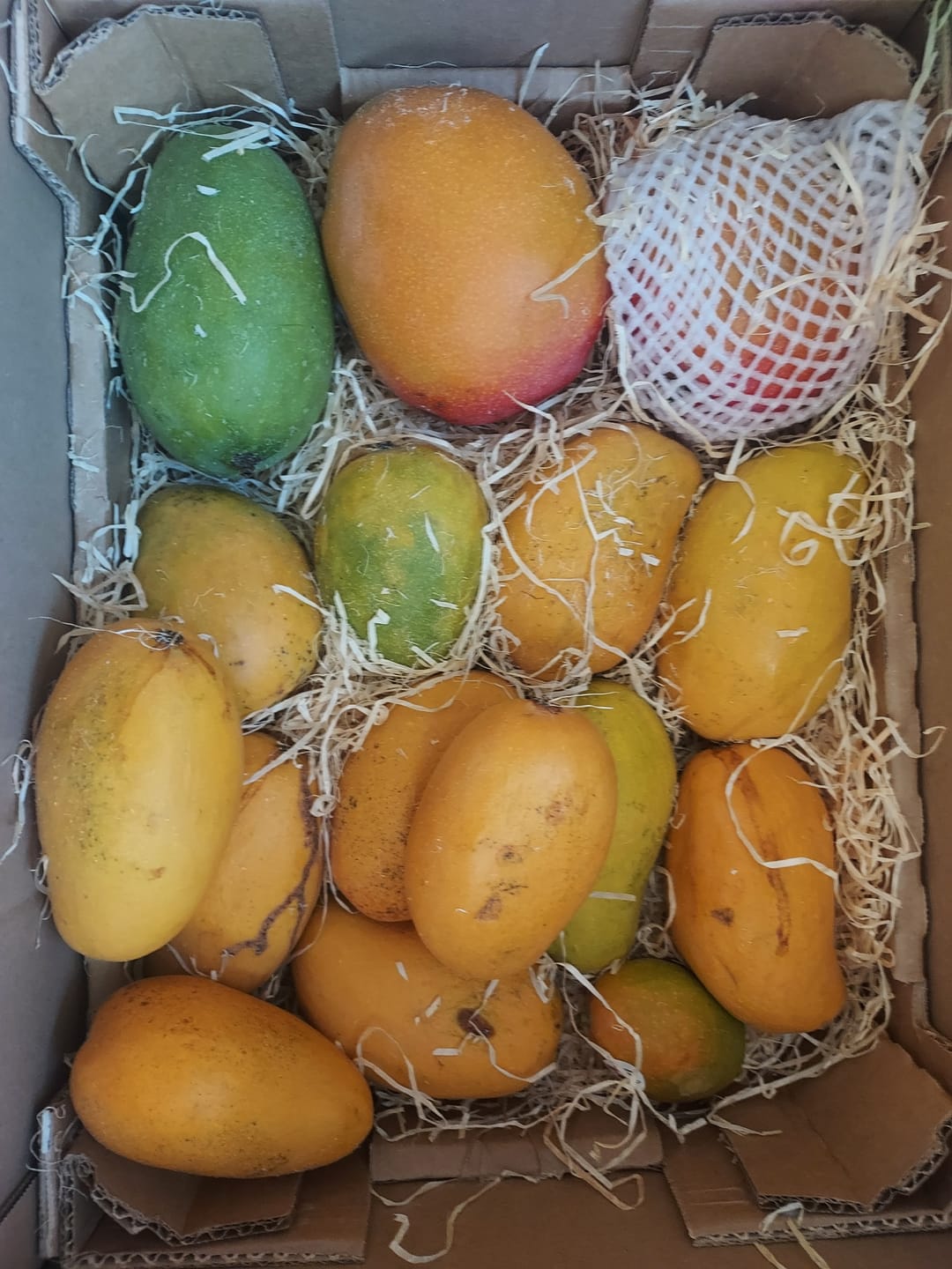 Customer photo review of Mango Honig „Ataulfo“ Bio von Joe Roman baumgereifte Flugware