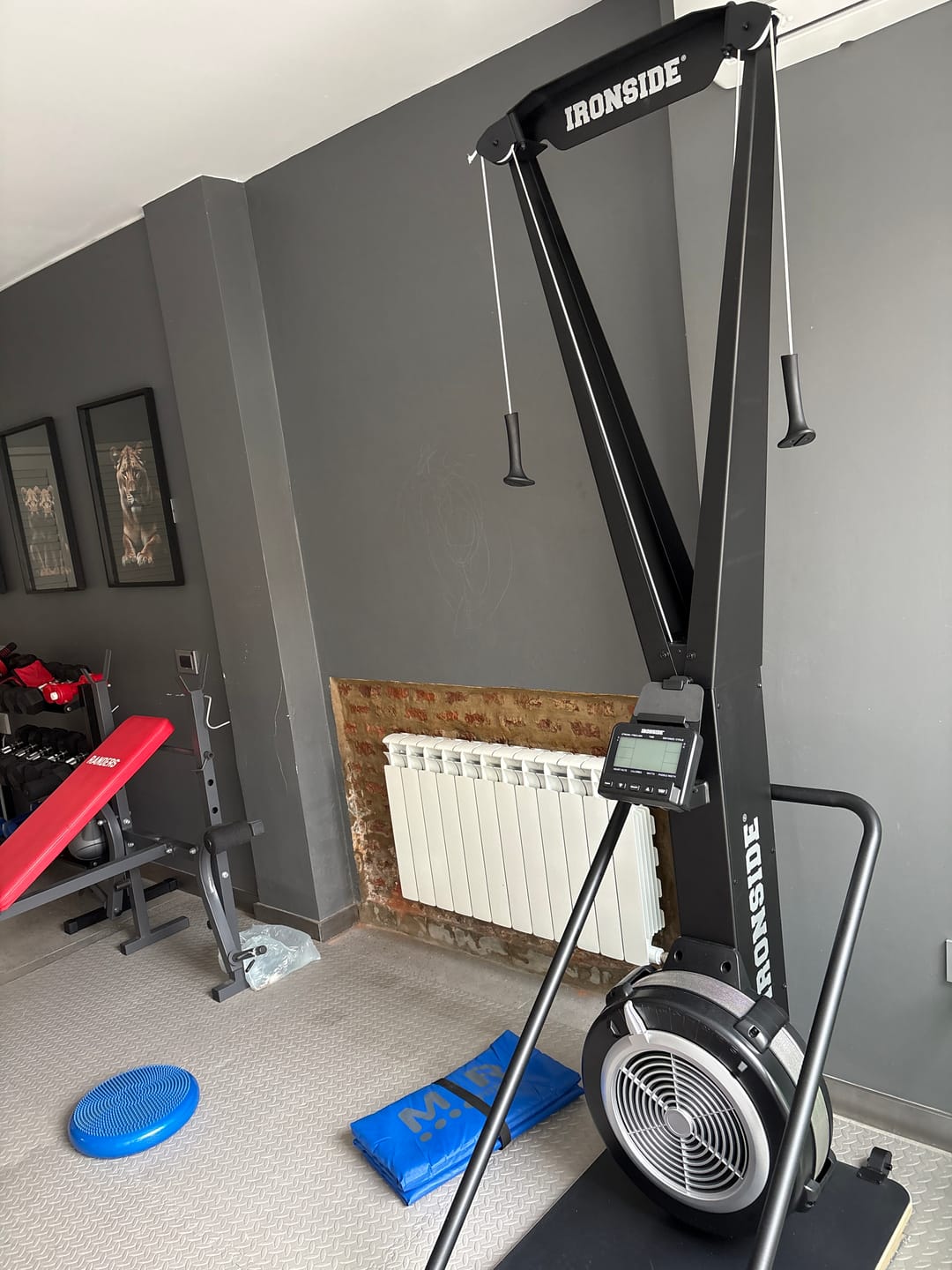 Customer photo review of Ski Erg IRONSIDE Luxury