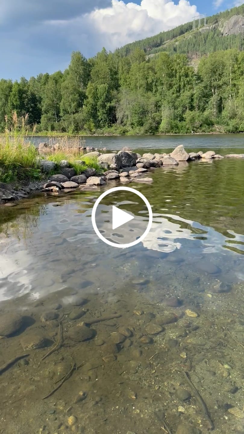 Customer video review of Sjampo med ville urter